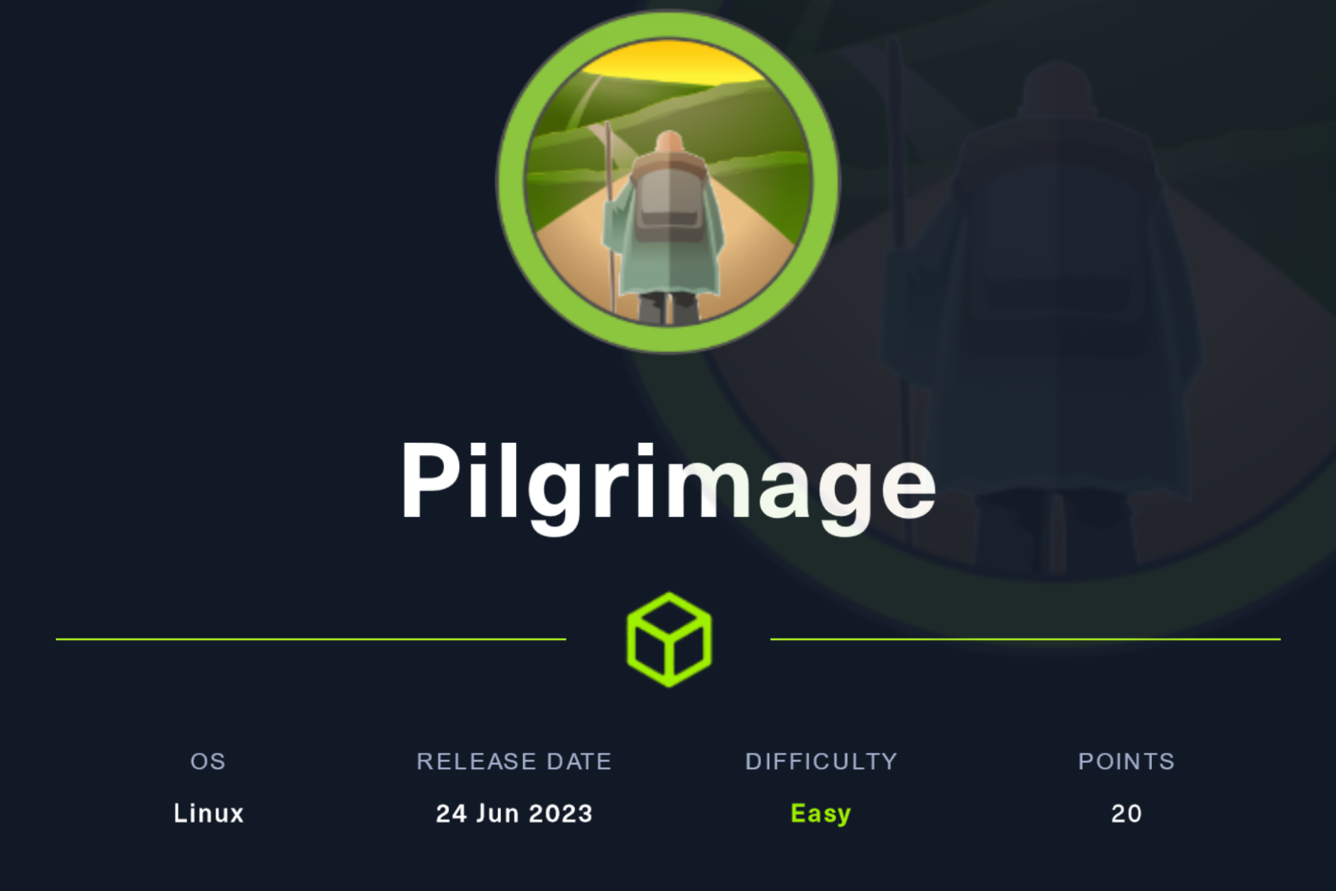 HackTheBox Pilgrimage Writeup Post